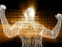 Esta dieta amiga do planeta pode reduzir o risco de morte prematura em 23%