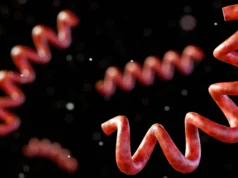 Uma doença perdida aparece em restos humanos de 5.500 anos atrás