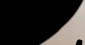 Leia o que Macron da França e o chefe da OTAN disseram a Trump nos bastidores