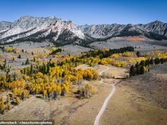 SMALL CAP MOVERS: Phoenix Copper enfrenta escrutínio após a suspensão dos principais chefes