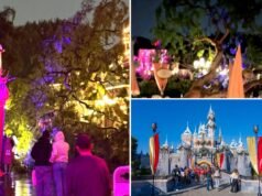 Casal afirmou que uma árvore caiu sobre eles na Disneylândia