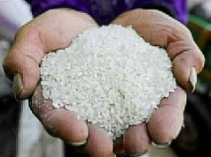 Toneladas de cevada hoje. Preços do arroz de “grãos largos e finos” nos mercados orientais, sexta-feira, 2 de junho de 2026