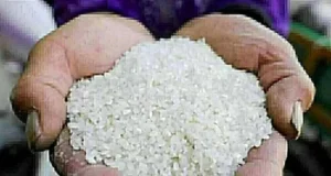 Toneladas de cevada hoje. Preços do arroz de “grãos largos e finos” nos mercados orientais, sexta-feira, 2 de junho de 2026