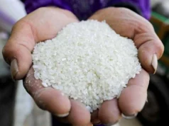 Preços da cevada e do arroz branco no Mercado Oriental, segunda-feira, 16/02/2026