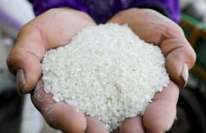 Preços da cevada e do arroz branco no Mercado Oriental, segunda-feira, 16/02/2026