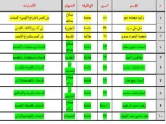Dez pessoas ficaram feridas quando dois microônibus colidiram em frente a uma fábrica de roupas suíça em Beni Suef.