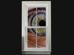 A América precisa desesperadamente de novas leis de privacidade.