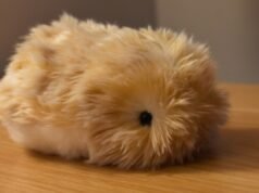 O animal de estimação AI da Casio, Moflin, assombrará meus sonhos.