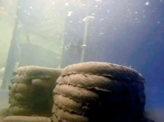 Pesquisadores australianos revelam a primeira impressora 3D subaquática de concreto do mundo