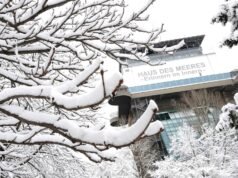 Forte nevasca na Áustria: 5 pessoas morreram, 4 delas em uma avalanche