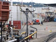 A investigação de Portland não encontrou evidências de irregularidades nas negociações da Zenith Energy