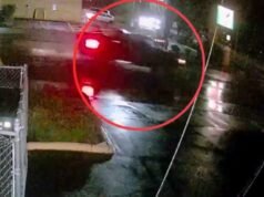 VÍDEO: Suspeito em caminhão preto tentando encontrar homem gravemente ferido no atropelamento e fuga de Aloha