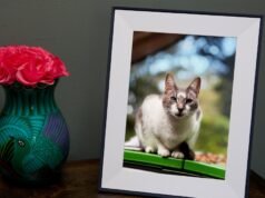 Encontramos 20 presentes aprovados pela Verge à venda antes do Dia dos Namorados