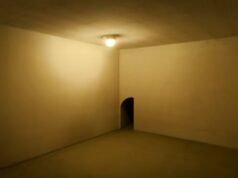 O muito elogiado filme de terror A24 de Kane Parsons