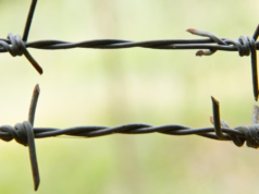 Pesquisas no Nepal: pontos de fronteira com a Índia serão fechados por 72 horas