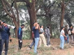 Como os cidadãos de Pune se reconectam com o rio Mula por meio de caminhadas no ‘Bosque Sagrado’