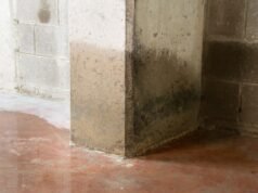 O proprietário verifica o porão após o vazamento – e fica horrorizado com o que encontra