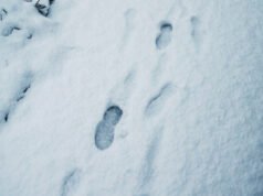 Casal nota pegadas ‘incríveis’ na neve – todos estão ‘preocupados’