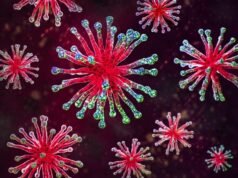 O que é a gripe B, o tipo de gripe que está aumentando atualmente?