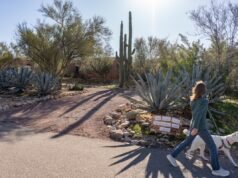 Trump diz que as ‘pistas’ no caso Nancy Guthrie são muito fortes