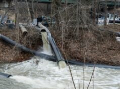 Reação democrata por postagem sobre vazamento de esgoto no Rio Potomac
