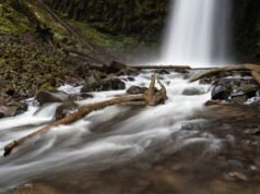 Oregon cobra taxas de estacionamento em outros 22 parques estaduais
