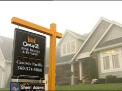 Merkley apresentou projeto de lei para impedir que casas de Wall Street ‘devorassem’