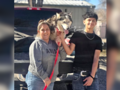 Um cachorro desaparecido há 7 anos vê seu dono, que instantaneamente chora com o que está fazendo