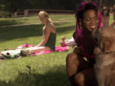 Você deveria se apaixonar por um cachorro venenoso?