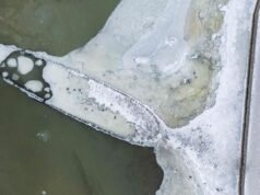 NAS FOTOS | Naufrágio do século 17 ressurgiu na Suécia