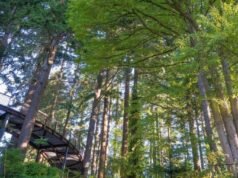 Leach Botanical Garden on Tabletop fecha enquanto organização sem fins lucrativos anuncia impulso de financiamento de US$ 450 mil