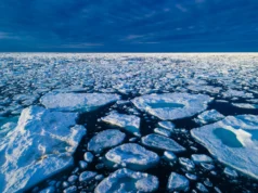 Nova previsão fornece alerta antecipado sobre perda de gelo marinho no Ártico