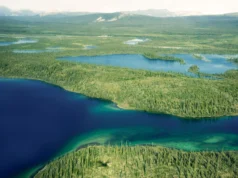 O simples desvio de água poderia transformar as terras agrícolas do Ártico em sumidouros de carbono