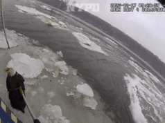 NYPD resgata águia ferida presa no gelo do Rio Hudson