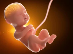 Os bebês são expostos a muito mais “produtos químicos eternos” antes do nascimento do que os cientistas imaginavam