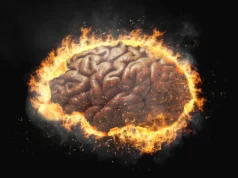 Inflamação do cérebro pode levar a comportamento obsessivo-compulsivo