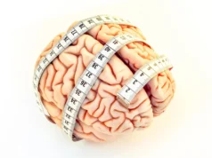 Cientistas encontram pistas para a evolução do cérebro humano a partir do comprimento dos dedos