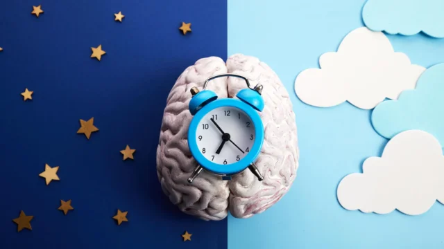 circadian-rhythm-brain-clock-night-day.webp.webp