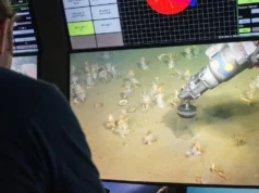 Cientistas descobrem ancestral amante do oxigênio de toda vida complexa