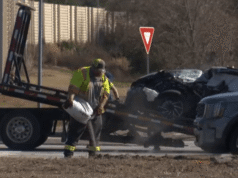 Homem preso após perseguição DHS / ICE leva a acidente que mata professor da Geórgia: Polícia