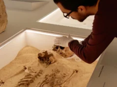 DNA antigo resolve mistério de raro distúrbio de crescimento genético há 12.000 anos