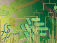 Micróbios antigos podem ter usado oxigênio 500 milhões de anos antes de ele preencher a atmosfera da Terra