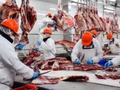 Economia l intransigente aumenta inflação mais rápida da carne na segunda semana de fevereiro