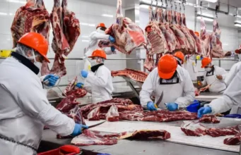 Economia l intransigente aumenta inflação mais rápida da carne na segunda semana de fevereiro