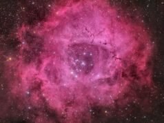 Você está solteiro neste Dia dos Namorados? Não se preocupe, o universo tem uma rosa só para você (foto)