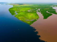 Lagos de águas negras da Bacia do Congo estão liberando carbono antigo na atmosfera