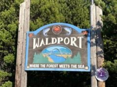 Um avião solo caiu no condado de Lincoln