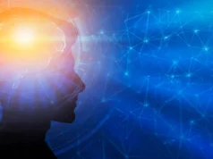 Novo estudo mostra que o desenvolvimento do cérebro pode continuar até os 30 anos