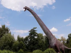 Durante décadas, os cientistas compararam dinossauros a mamíferos, mas perderam esta diferença fundamental