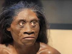 A seca antiga pode ter dizimado os hobbits da vida real há 61 mil anos